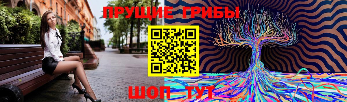 Минусинск  Галлюциногенные грибы MAGIC MUSHROOMS  Вход с VPN 