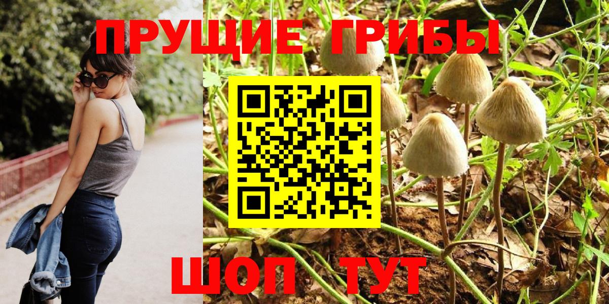 Галлюциногенные грибы Psilocybine cubensis Минусинск